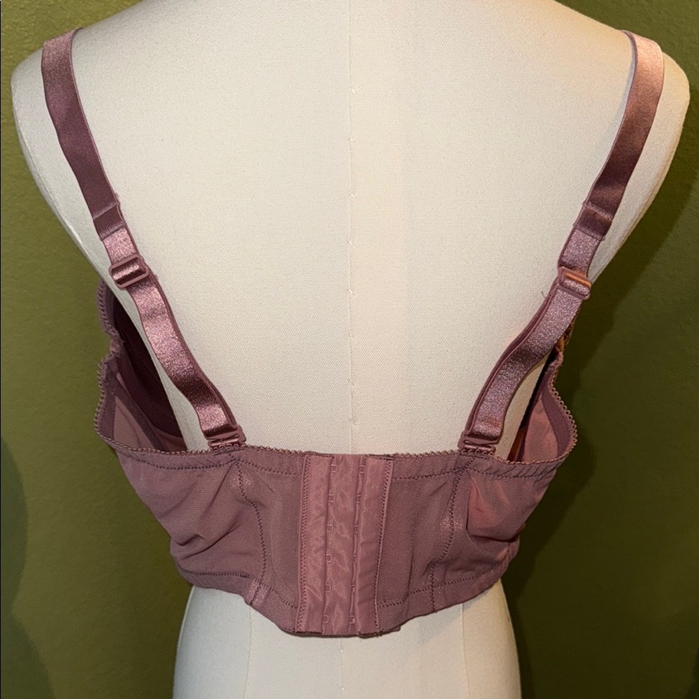 Lace Trim Mauve Bra - Picture 2 of 4